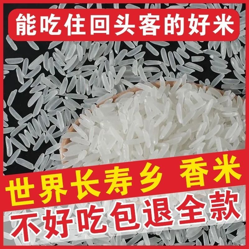 上林县广西一级九七香米晚稻长粒新米煲仔饭猫牙米稻花香五常大米批发价