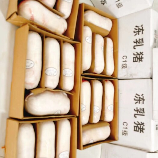 灌南县冻乳猪半成品烤乳猪发货