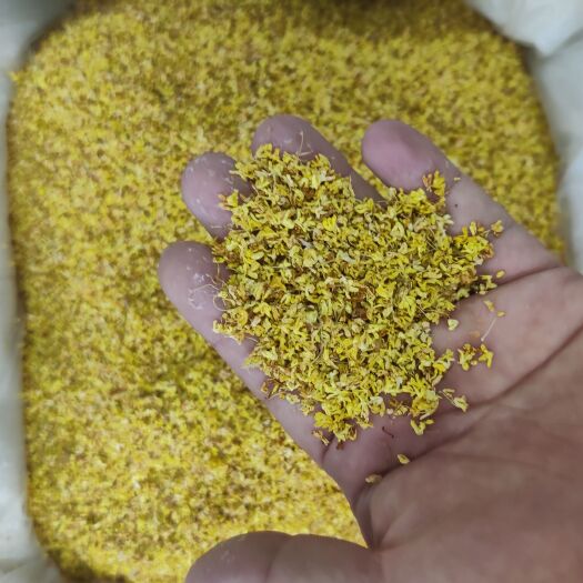 亳州桂花 桂花干 正宗桂花可食用可药用 桂花手选