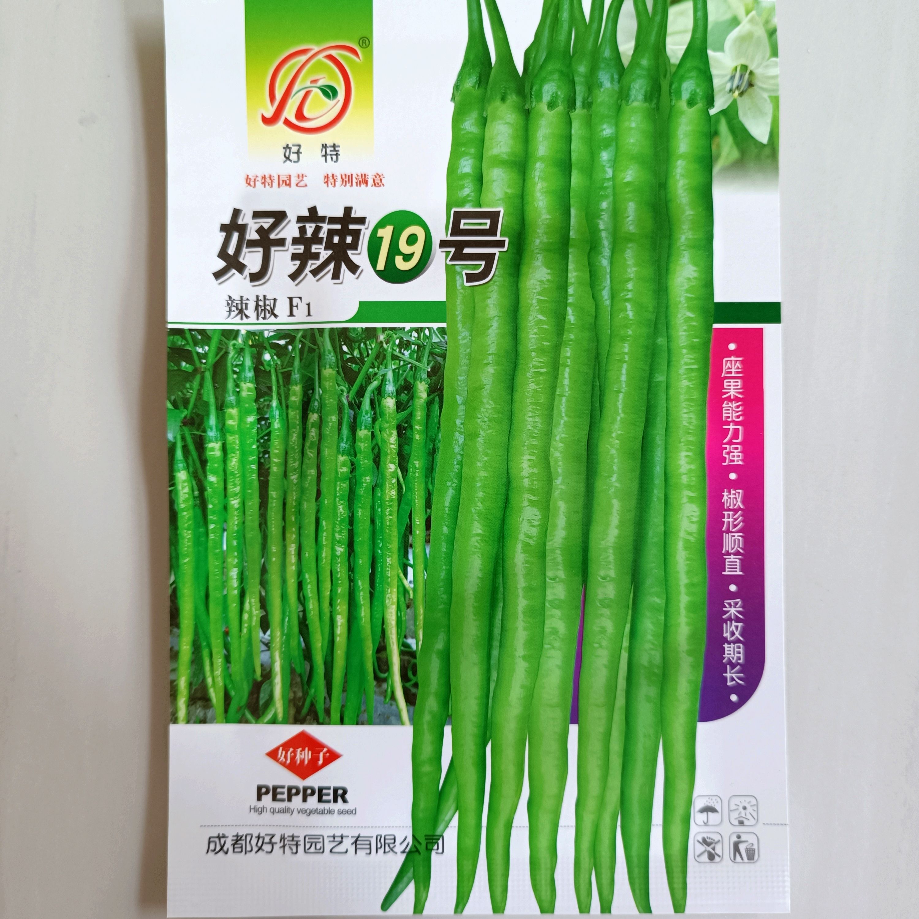 好特好辣19号长线椒辣椒种子杂交早熟中辣皮薄肉嫩顺直高产