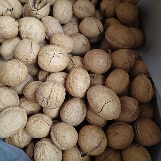 新郑市新疆炒核桃