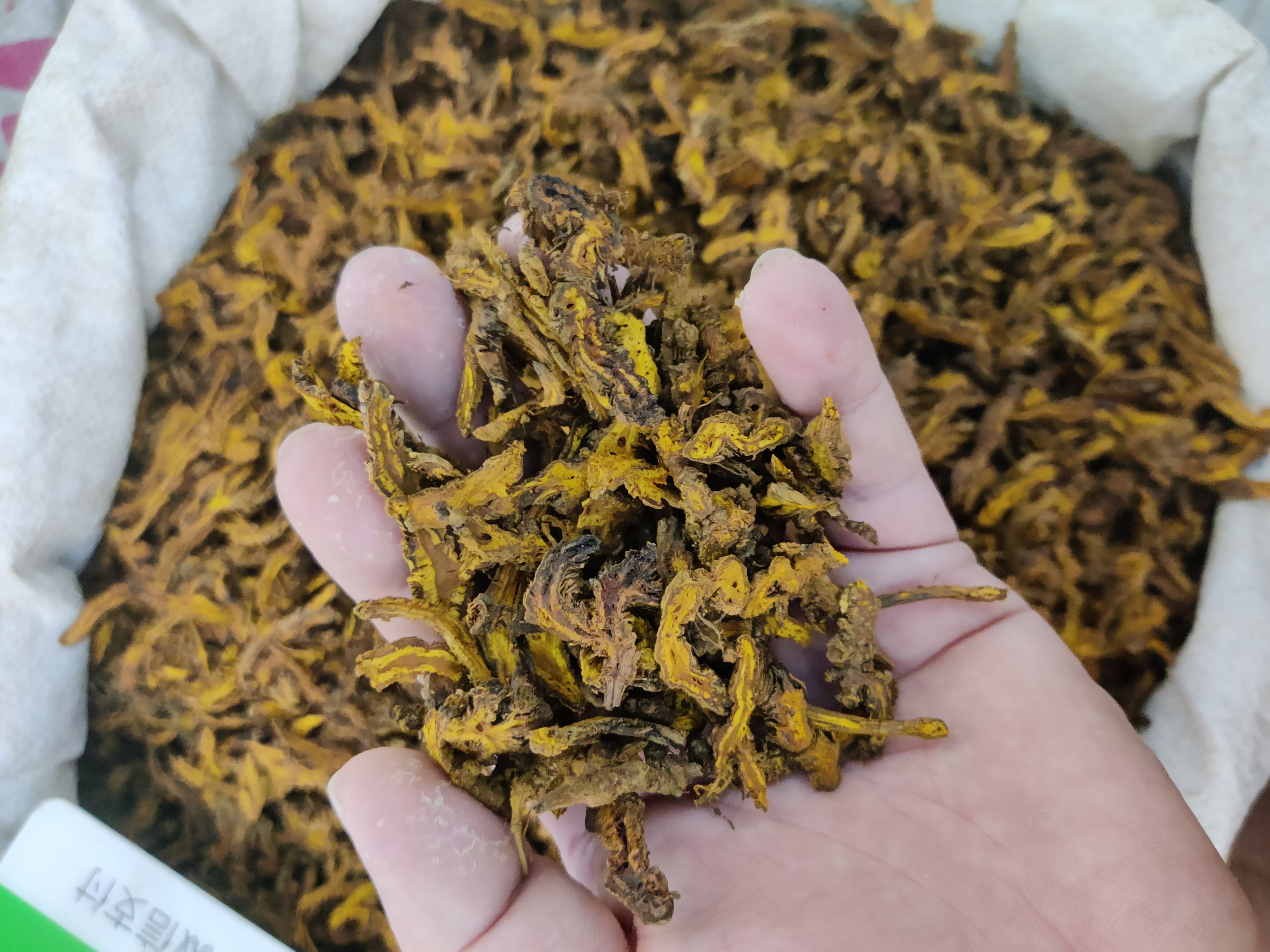 黄莲 鸡爪黄连 单支黄莲 黄连片黄连个 规格齐全