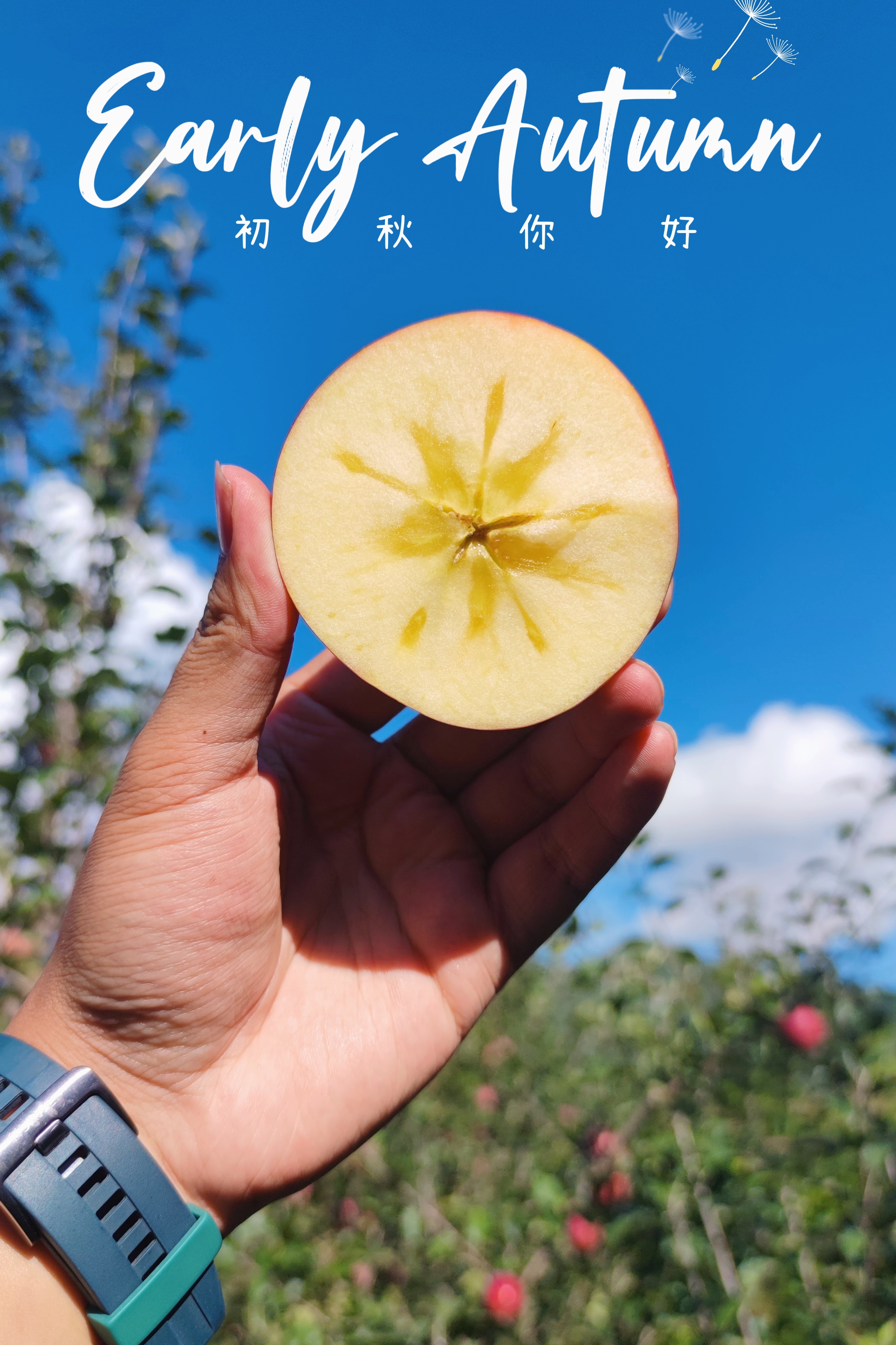 華秋哥大涼山水果