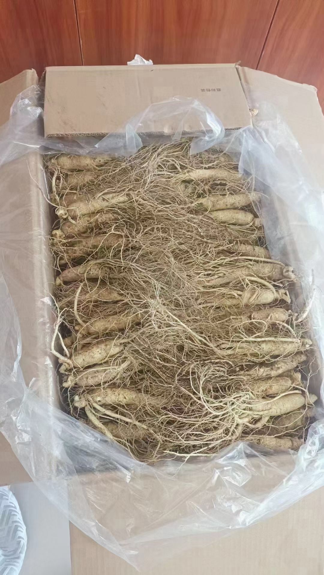 吉林抚松鲜园参 产地直发