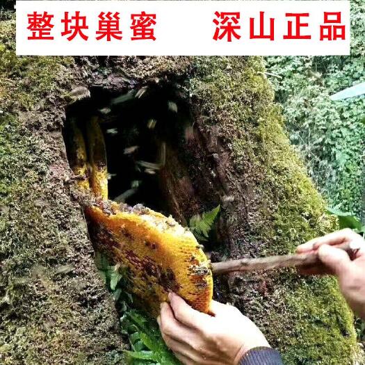 通道县土蜂蜜，百花蜜，树洞蜂蜜。