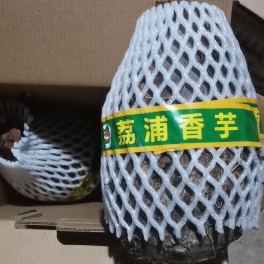 荔浦市正宗荔浦芋头