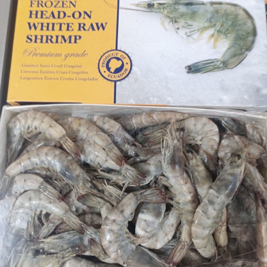 对虾  青虾