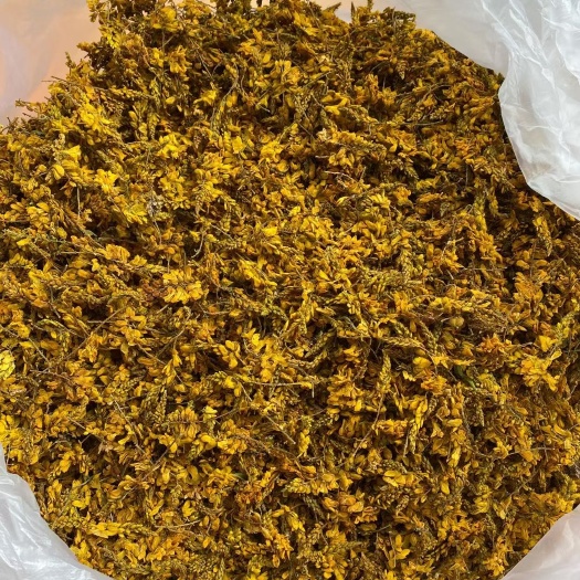 恭城县黄花倒水莲干花，纯手工制作，口感纯正