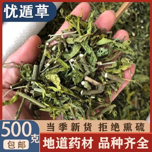 亳州海南五指山忧遁草中药材正品无硫优盾草黎王草鳄嘴花季多规格包邮
