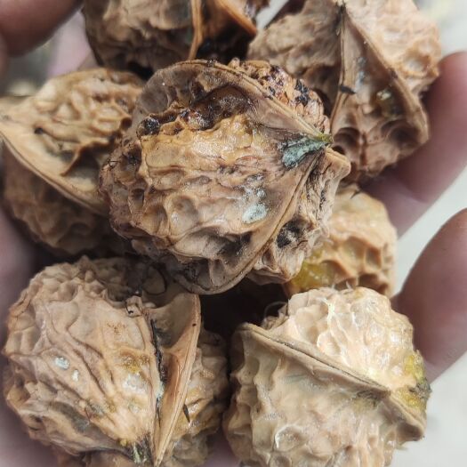 丽江核桃