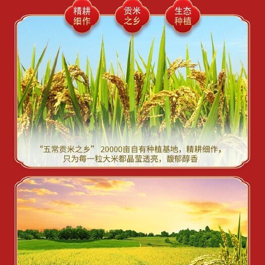 五常市邻家饭香品牌大米，49.9元/件，正宗五常大米