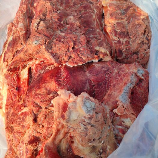 郑州现宰鲜冻驴肉 马肉 腿肉  肋条肉 口感好 肉质佳 量大优惠