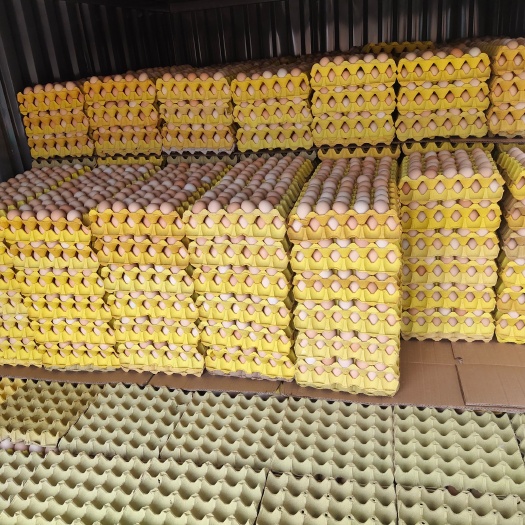 威县长期大量供应食品厂大码蛋和筐鸡蛋