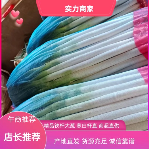 费县山东铁杆大葱基地:代收毛葱 加工净葱 质量保证 货代发全国
