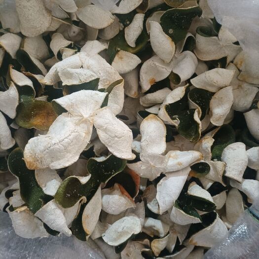 深圳青皮