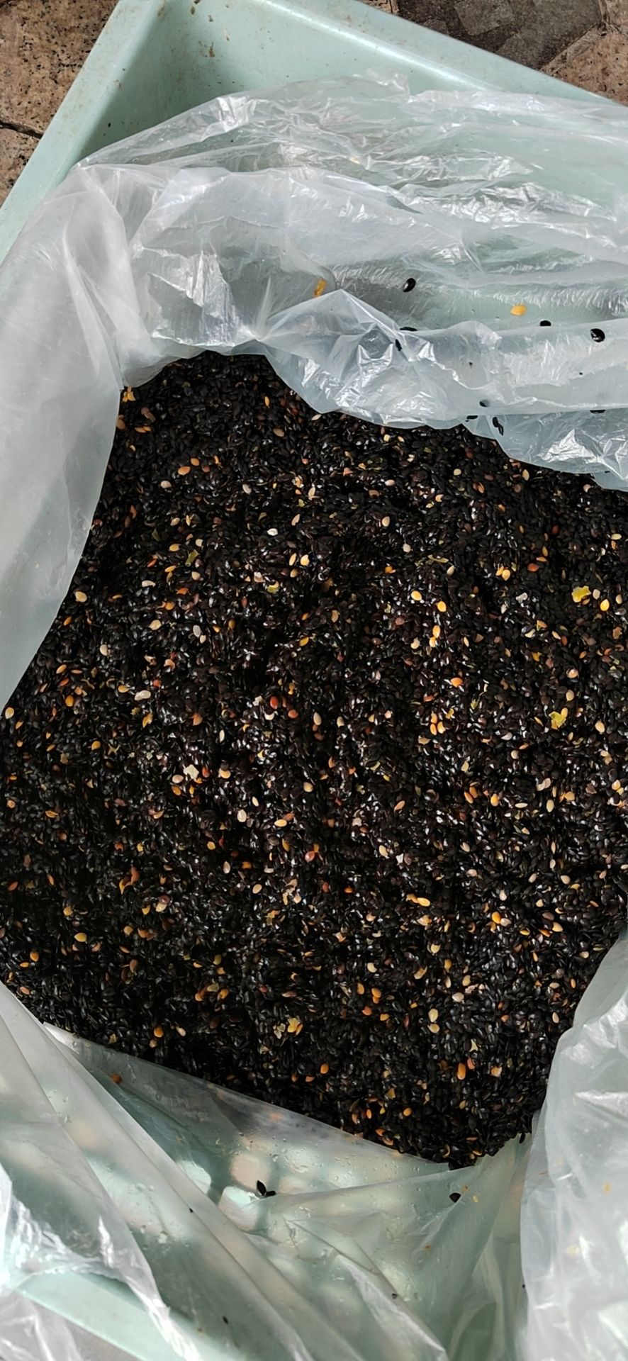 百香果籽