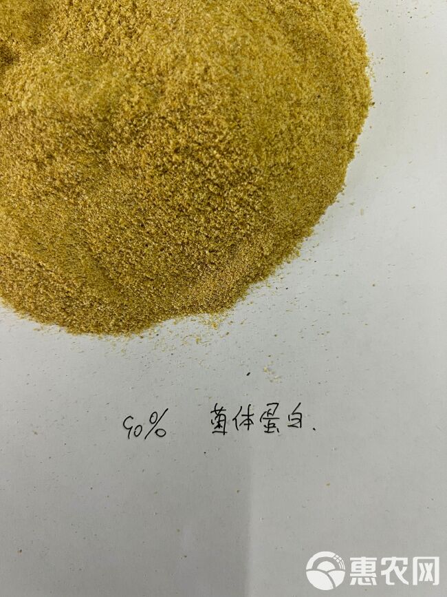 菌体蛋白 广泛适用于水产饲料 替代部分高价蛋白原料