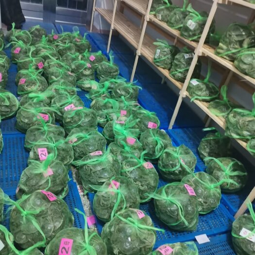 兴化市大闸蟹