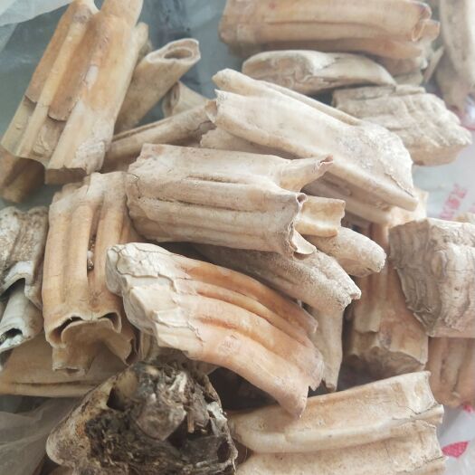 汤旺县龙齿，中药名。为古代大型哺乳类动物牙齿。