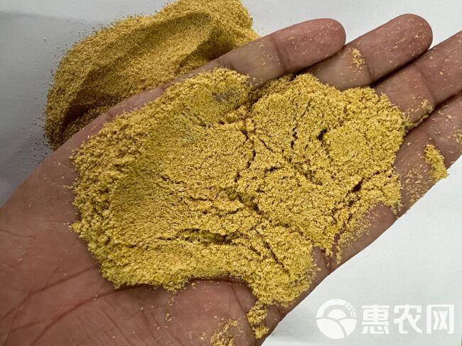 菌体蛋白 广泛适用于水产饲料 替代部分高价蛋白原料