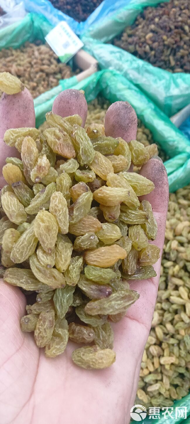 电商快销吐鲁番市优等中大颗粒树上黄葡萄干和通货麻子无核