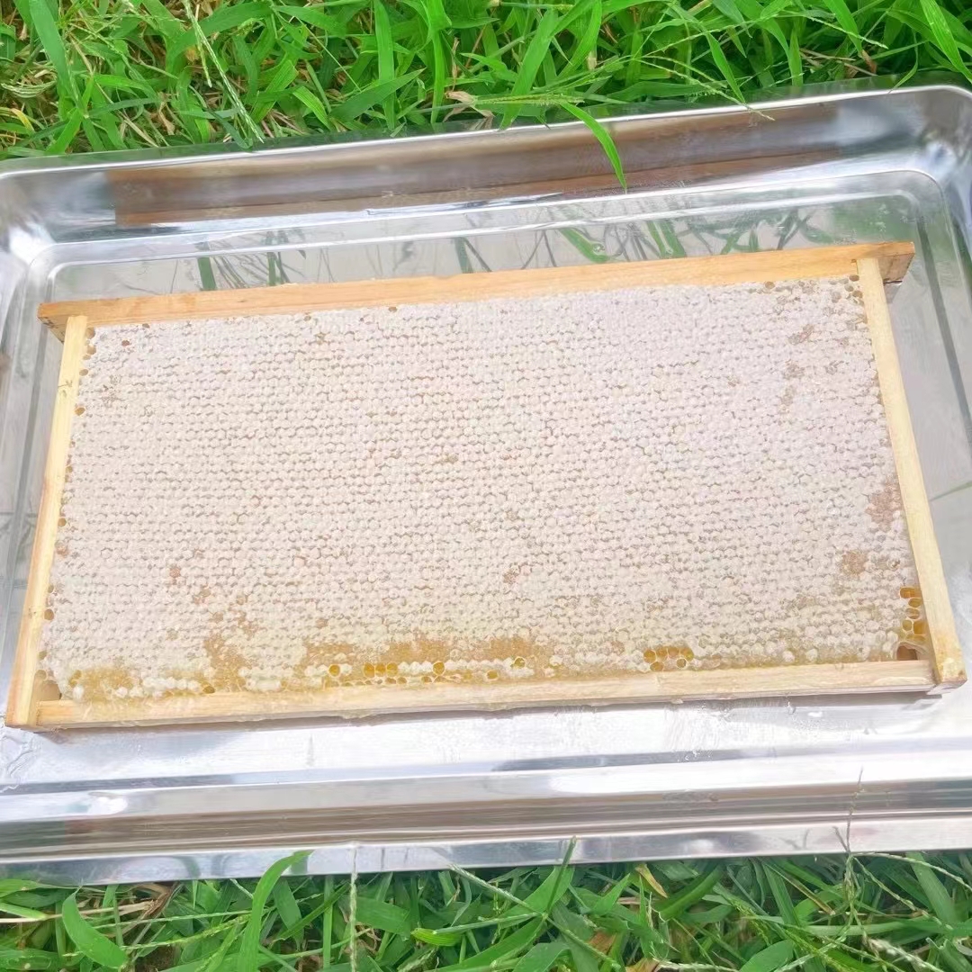 长葛市整张蜂巢蜜 嚼着吃纯土蜂蜜巢块天然农家自产整张6斤