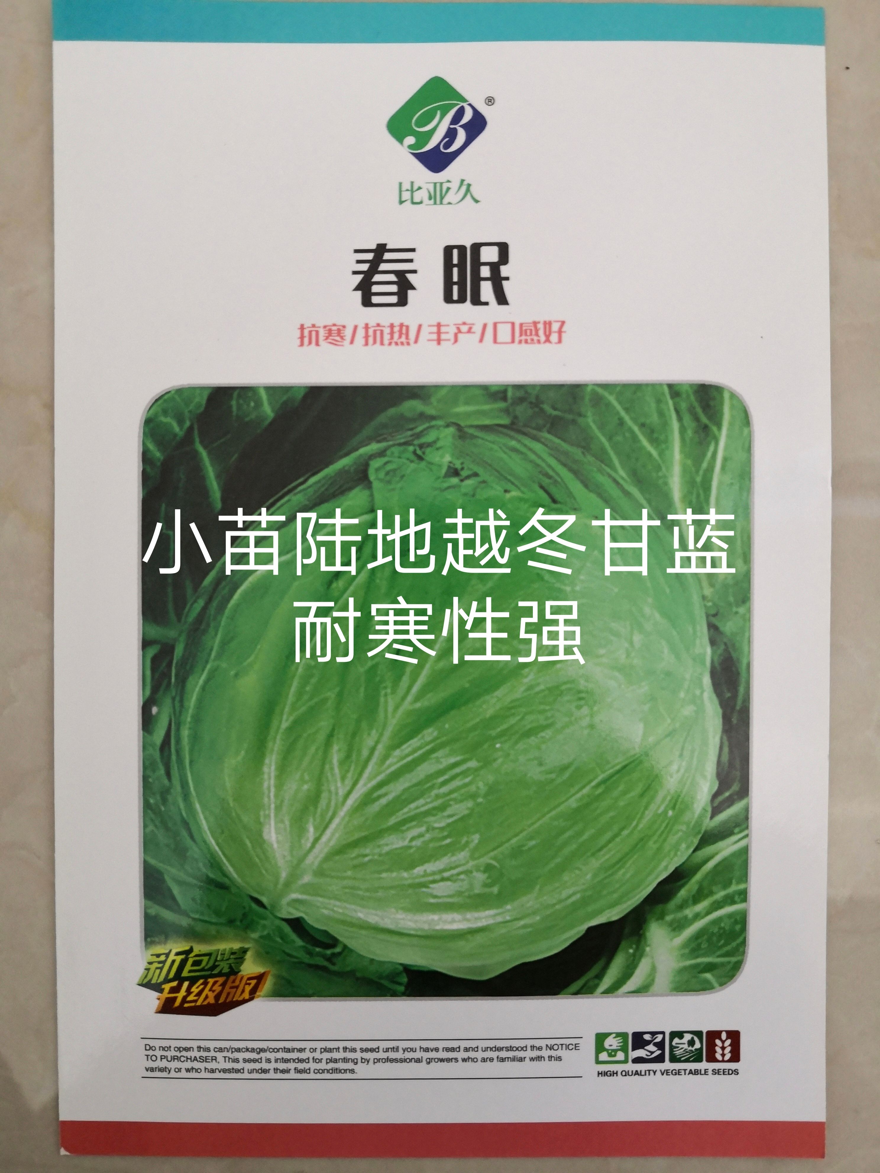 春眼露地越冬甘蓝种子抗寒抗热不抽苔中熟叶色灰绿扁圆形口感好