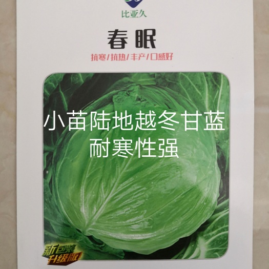 扶沟县春眼露地越冬甘蓝种子抗寒抗热不抽苔中熟叶色灰绿扁圆形口感好