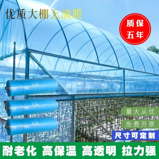 沭阳县12丝精品PO膜 消雾滴膜高透光 耐老化耐拉扯 彩之格温室