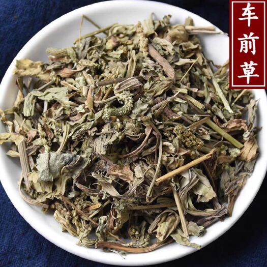 亳州车前草 中药批发车前草 车前草干货 干净去沫 零售批发