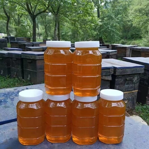 长葛市蜂蜜天然农家自产蜂蜜秦岭深山结晶真百花蜂蜜
