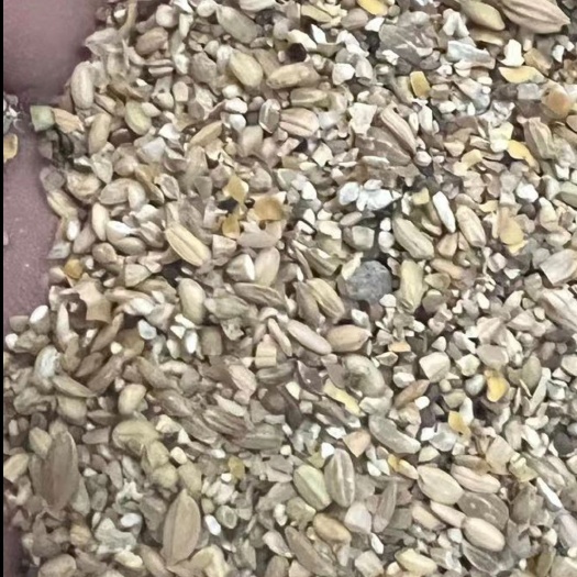 天津碎米