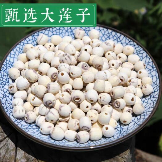 亳州白莲子 莲子干 无硫磨皮莲子干 抽芯莲子干 莲子芯 规格齐全