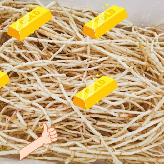 砚山县精品鱼腥草