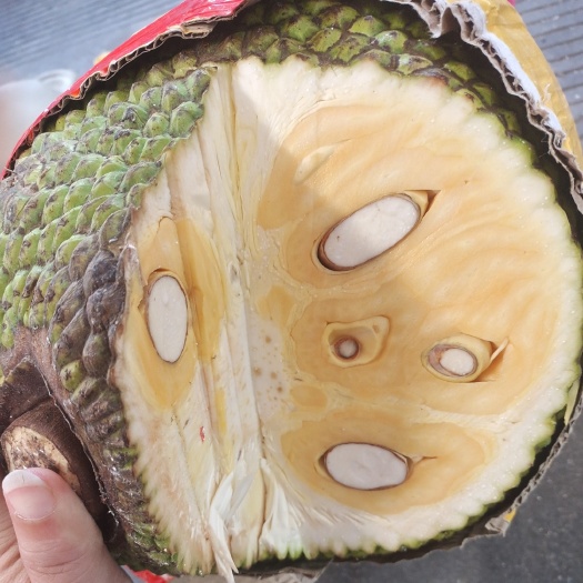 长沙正宗越南红肉菠萝蜜