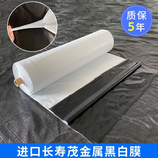 沭阳县12丝黑白膜茂金属抗老化耐用 养殖 各类仓库覆盖材料
