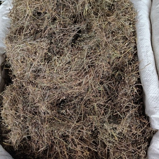 玉林干货中草药白花蛇舌草别名 百花蛇舌草 蛇舌草