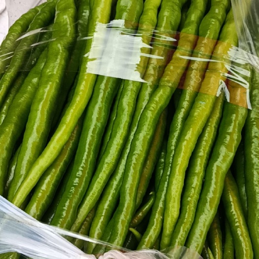 耿马县精品线椒大量上市  喜欢的老板联系