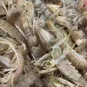 惠州量大的聯(lián)系