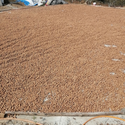 威海清香核桃，品种纯度达99%以上，皮薄口感好无涩味！