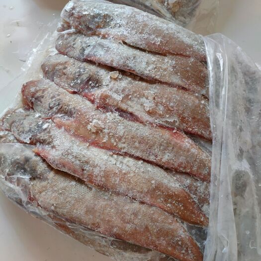 北海踏板鱼 舌头鱼 龙利鱼 规格大鲜度佳