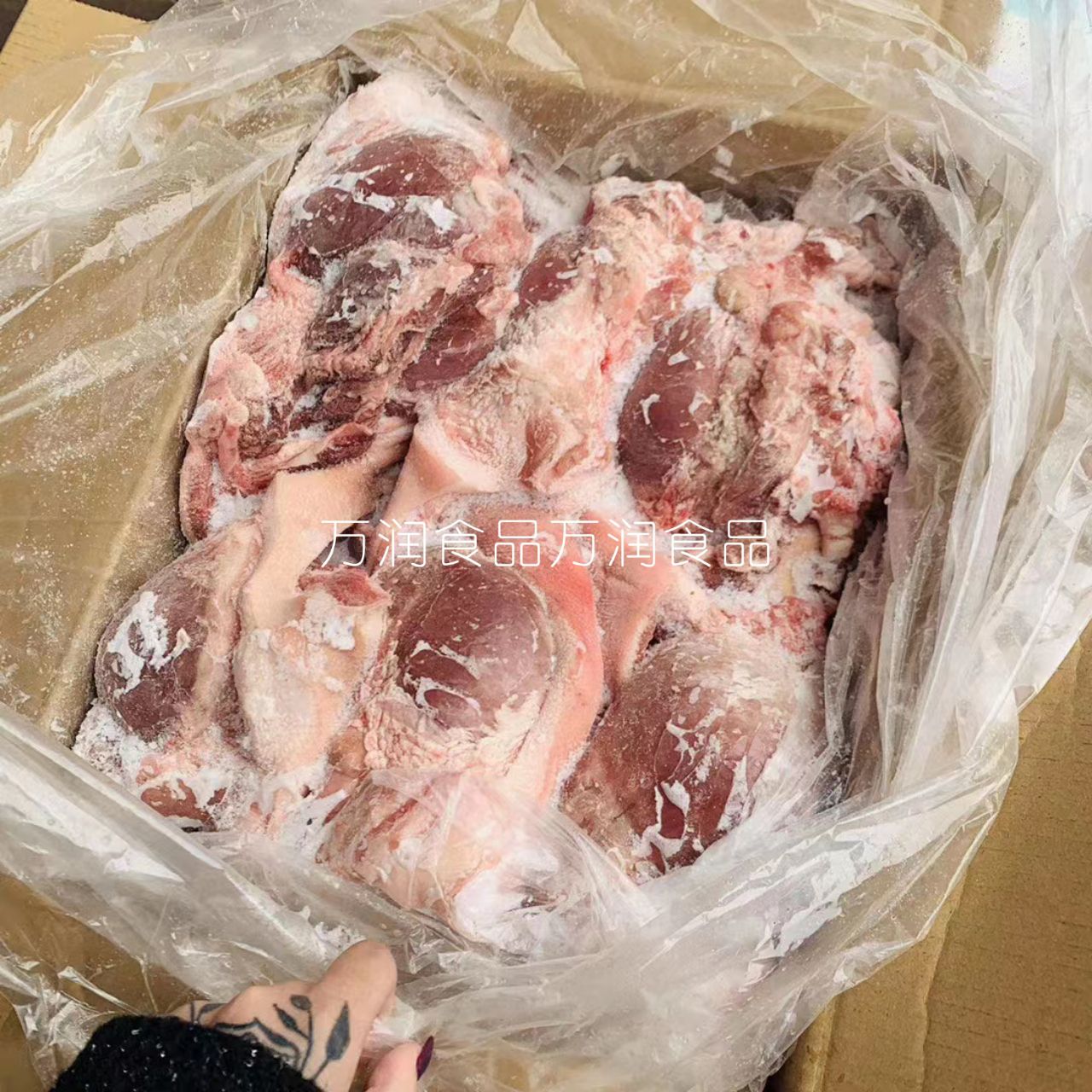 生圈肉熟圈肉，熟猪头肉去骨猪头肉带核桃肉20斤