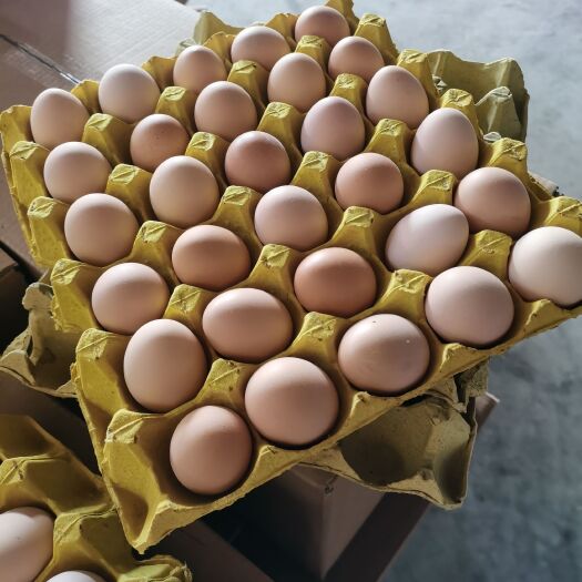 粉壳土鸡蛋，10个一斤，420个毛重45斤到48斤275元