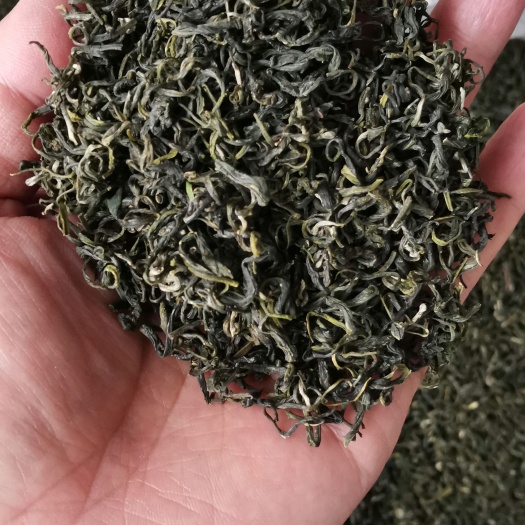 余庆县贵州都匀毛尖毛峰绿茶高山绿茶香味清香口感醇厚