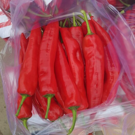 邯郸红泡椒大量供应中，货源充足，价格美丽
