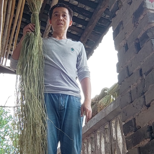 达州市大竹县特产优质贮麻纯手工收割青贮麻品质保证现货直发