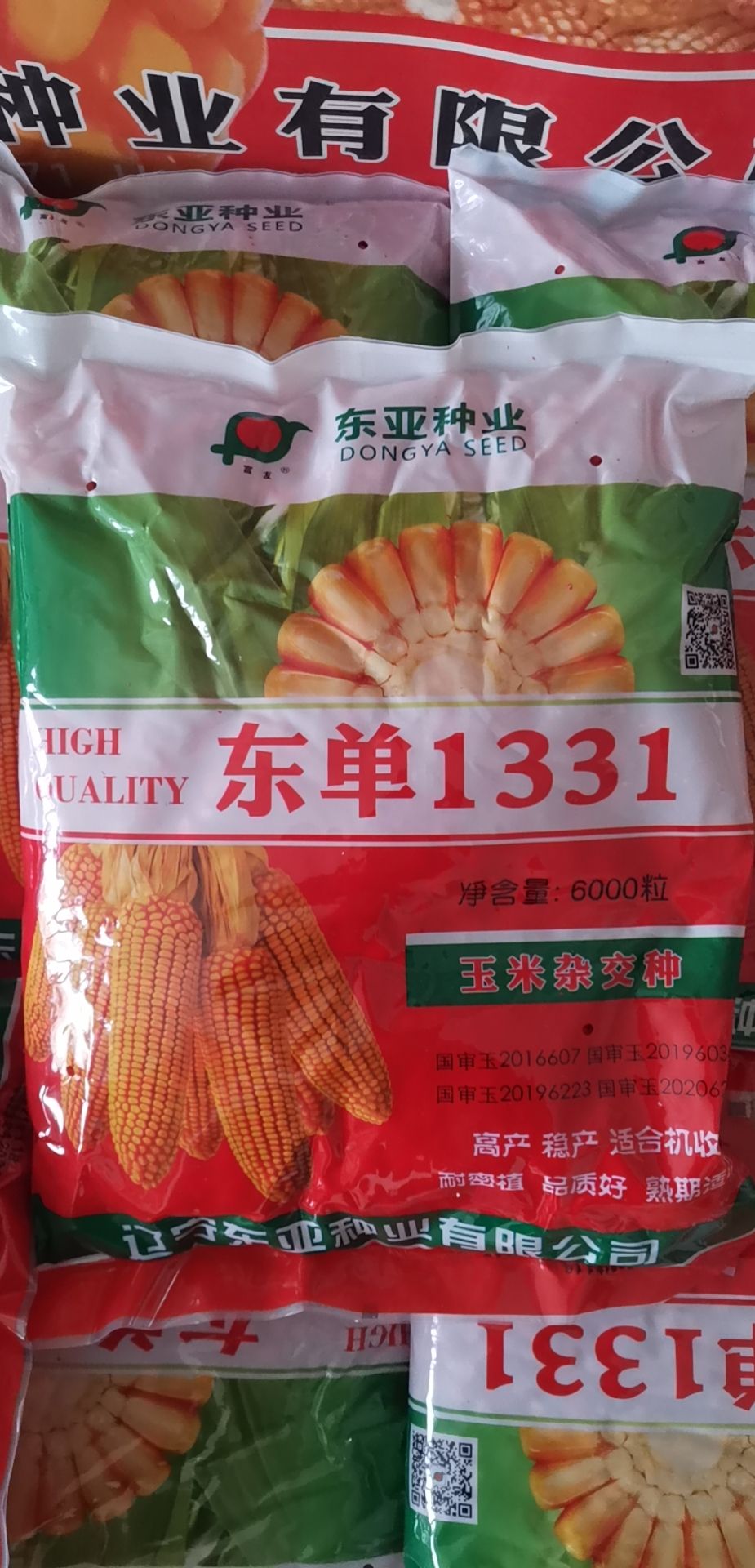 建昌县东单1331玉米种子