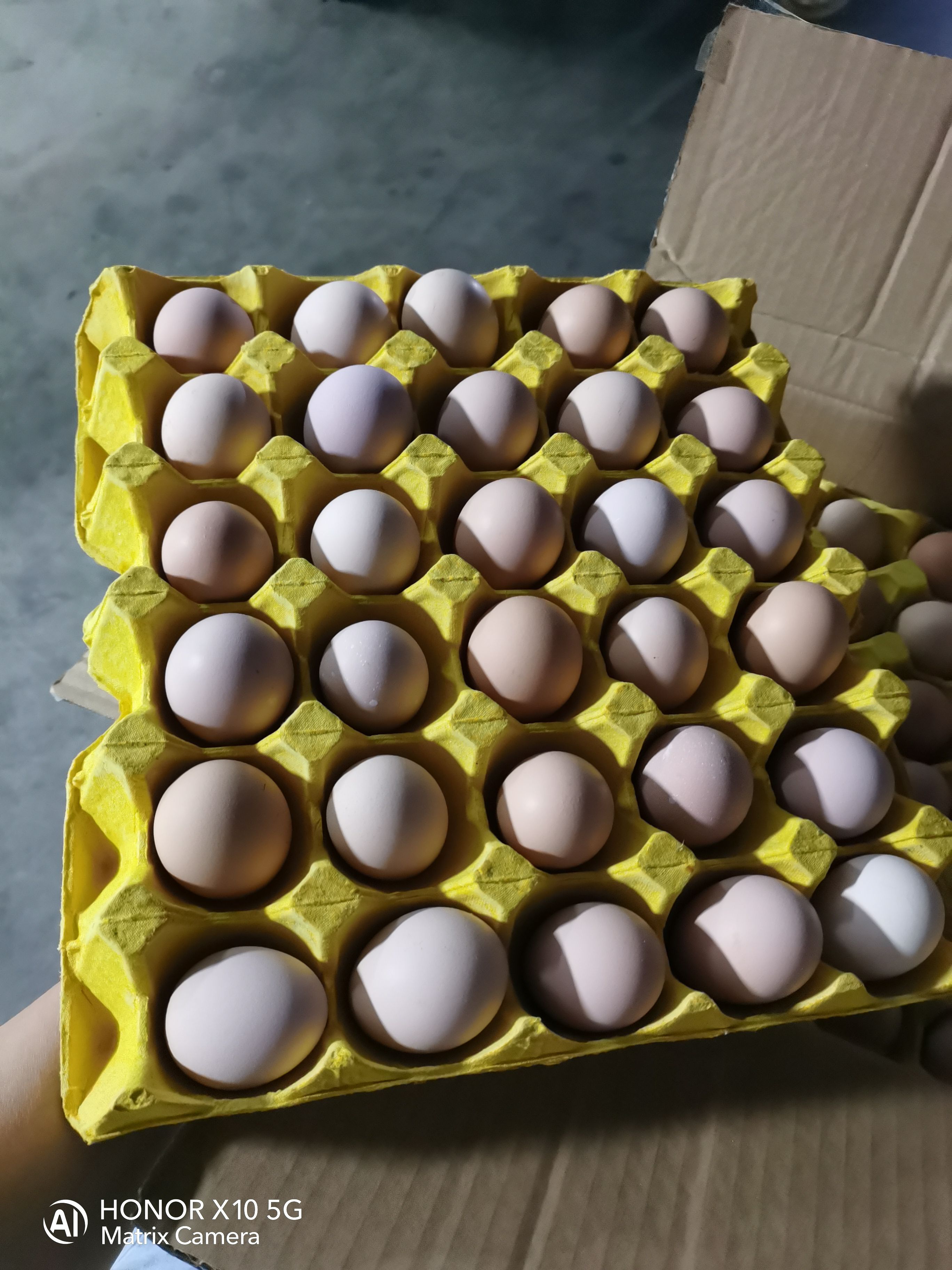 武汉小粉土鸡蛋360个净重25.斤武汉发货，，15个一斤