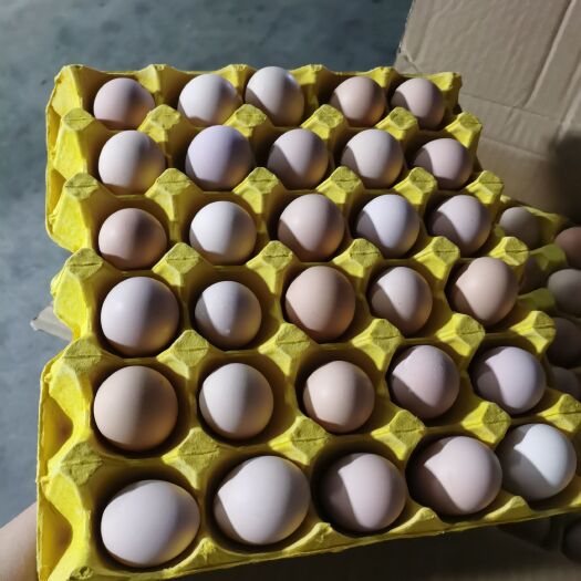 小粉土鸡蛋360个净重25.斤武汉发货，，15个一斤