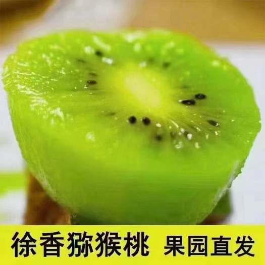 咸阳陕西杨凌徐香猕猴桃